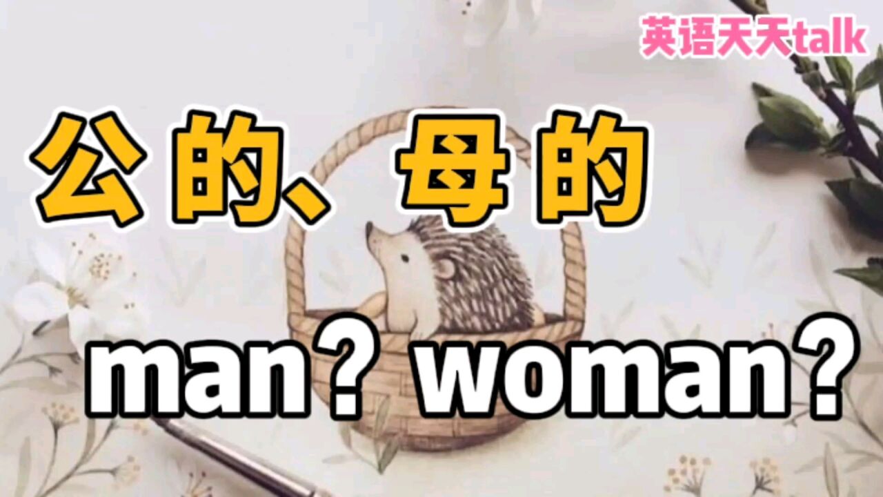 小猫小狗是“公的母的”,英语说成“man or woman”,老外听了憋笑了