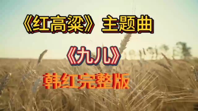 红高粱主题曲《九儿》演唱:韩红