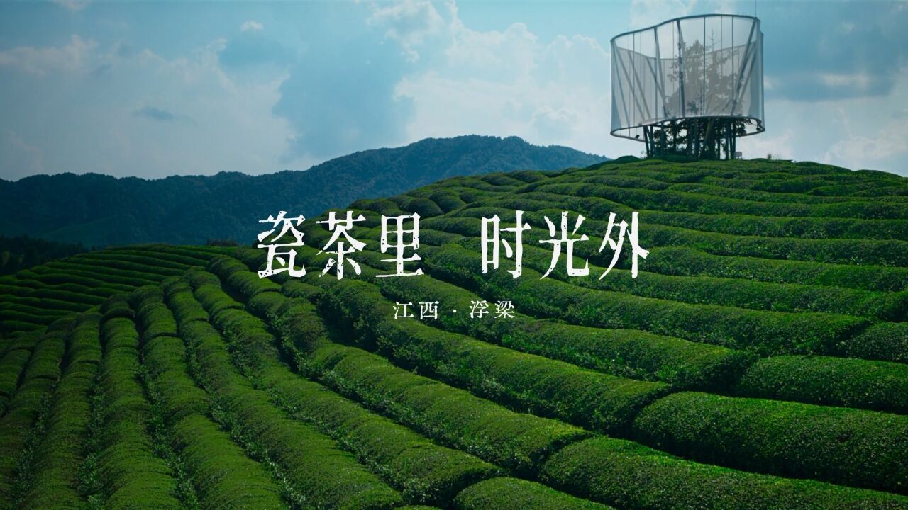 瓷茶里 时光外