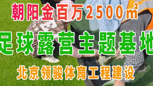 北京领骏体育建设工程朝阳金百万露营主题基地铺草坪刷胶,马上完工