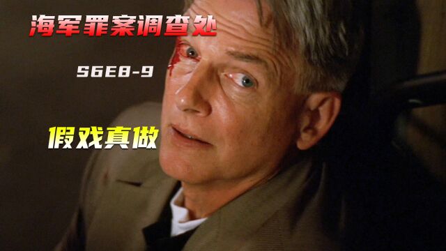 真假情报傻傻分不清,NCIS全员上演猫抓老鼠,高分美剧