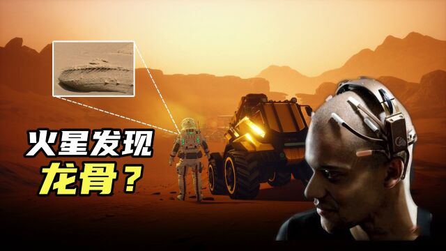 火星拍到龙骨化石?揭密CIA火星秘密档案“星门计划”!