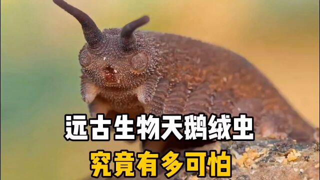 远古生物天鹅绒虫究竟有多可怕,你知道吗?