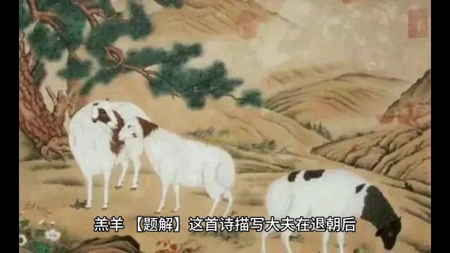 诗经羔羊