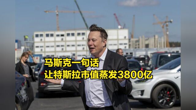 马斯克一句话让特斯拉市值蒸发3800亿,未来还要继续降价?