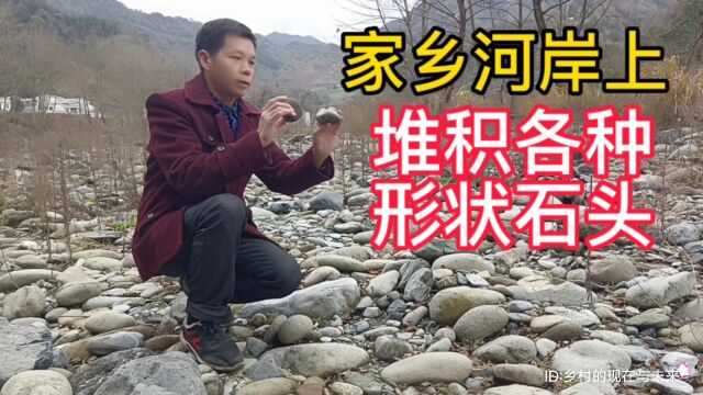 湖北省十堰市竹溪县天宝乡境内河岸上堆积了各种形状的石头,你的家乡有这种石头吗?