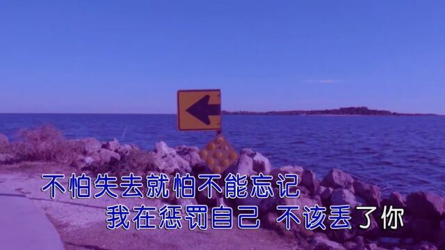 易阳鸽子灰 红日蓝月KTV推介