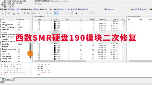 西数SMR叠瓦式电脑硬盘190二级编译器模块损坏,二次修复恢复数据