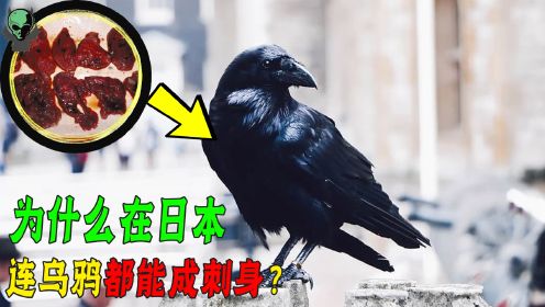 从生食马肉，到乌鸦刺身，日本人的饮食习惯为啥能生吃万物？