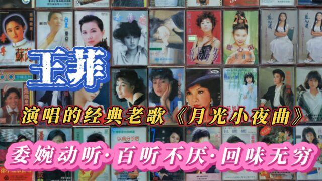 天后王菲演唱的经典老歌《月光小夜曲》委婉动听ⷧ™𞥐줸厌ⷥ›ž味无穷