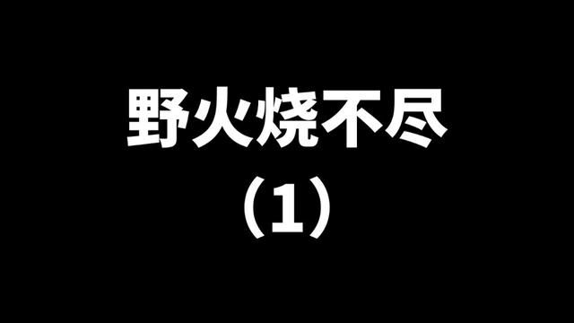 #主打的就是一个真实 #恋爱 #甜文 #推文