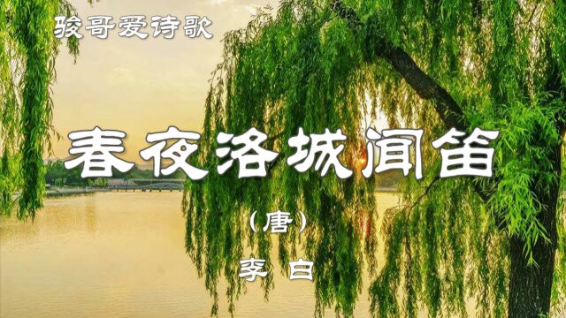 骏哥爱诗歌:李白《春夜洛城闻笛》,经典唐诗赏析