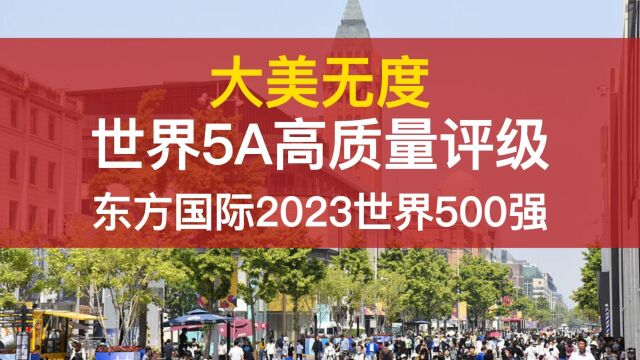 大美无度发布东方国际获高质量世界500强