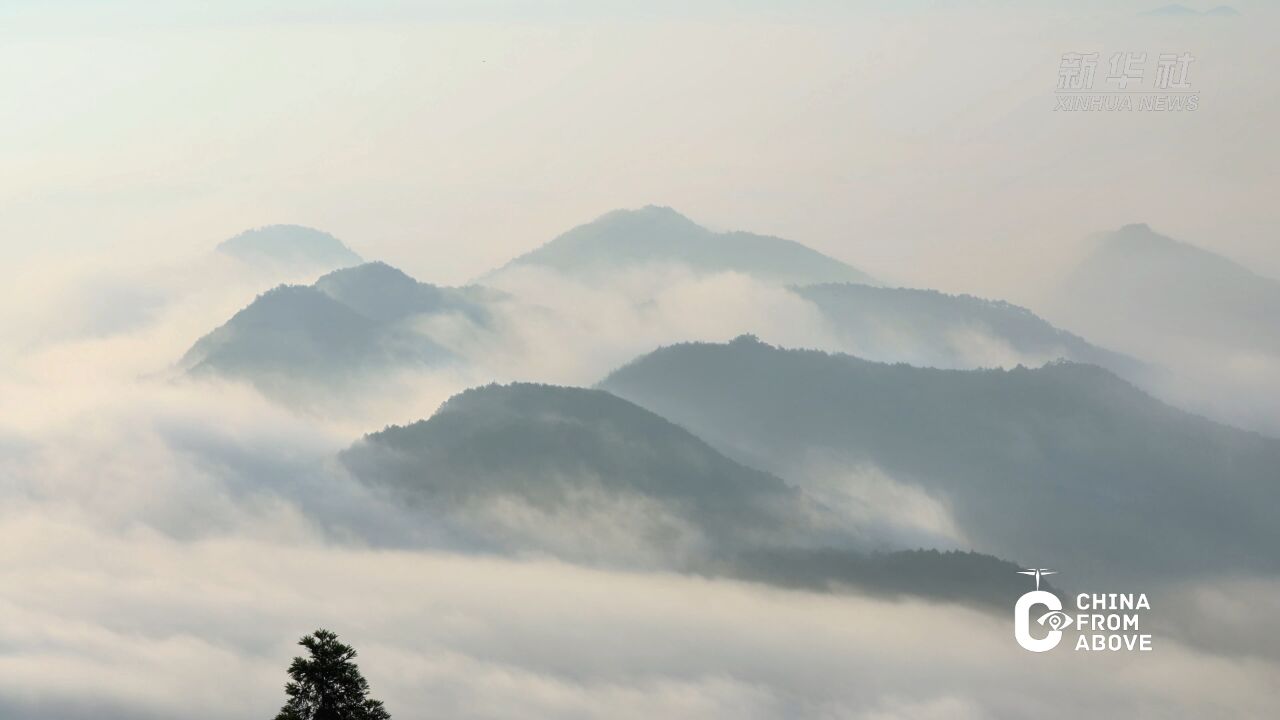 瞰中国|福建寿宁:南山顶云海