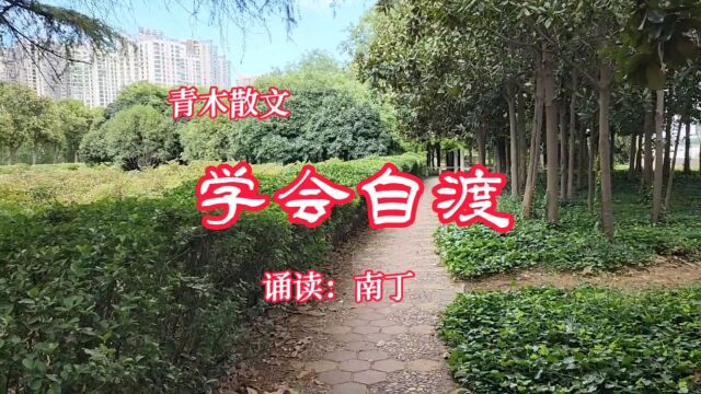 青木散文《学会自渡》诵读:南丁