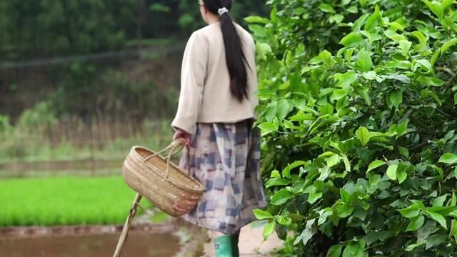 如果你感到沮丧 一朵橙花可以帮助你 花一点时间嗅吸橙花 用一点橙花纯露照顾自己的皮肤 和自己相处省心又省事