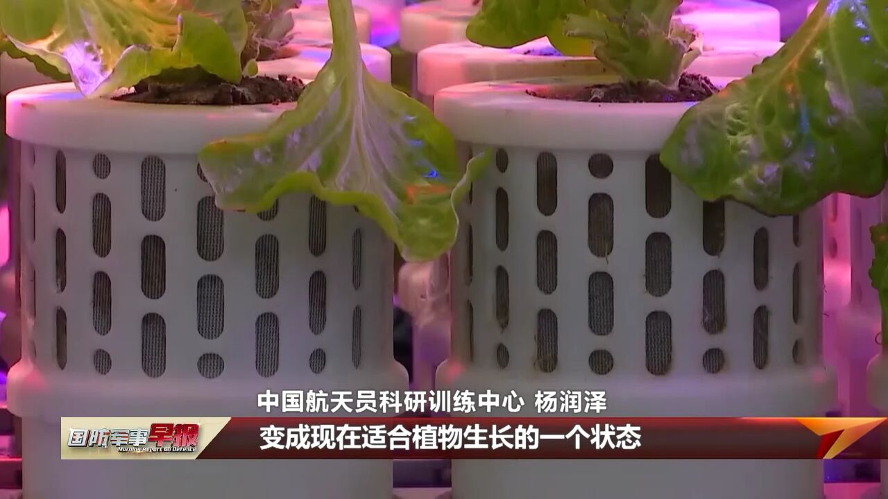 “太空菜园”新升级 可循环使用 轮番种植