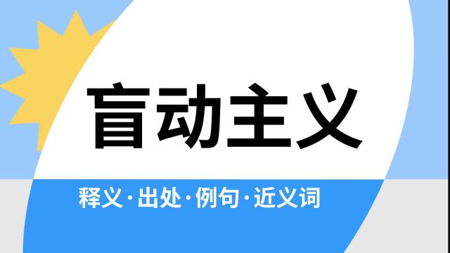 “盲动主义”是什么意思?