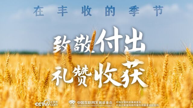 最美新农人|在丰收的时节:致敬付出,礼赞收获!