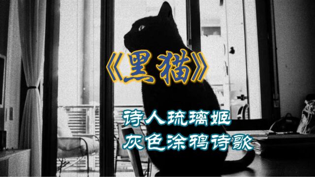 【诗人琉璃姬】涂鸦诗歌:《黑猫》