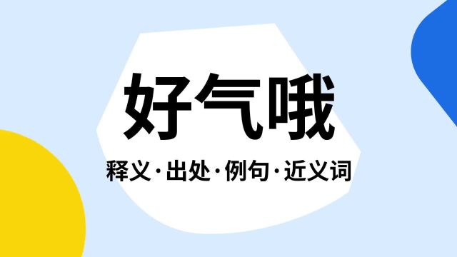 “好气哦”是什么意思?