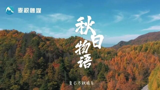 【麦积秋色】牧马滩国家森林公园——秋日物语