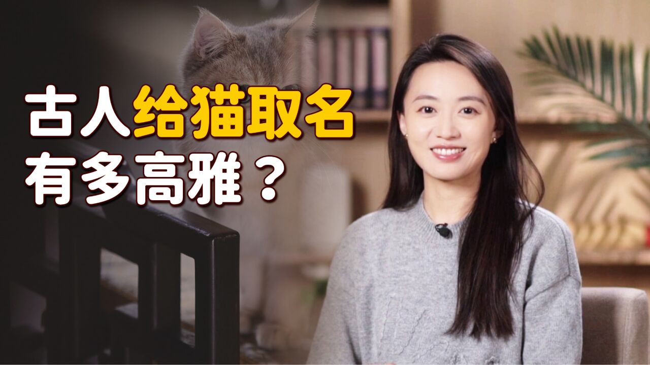 在古代,一个猫的名字能有多高雅?不像你只会喊咪咪!