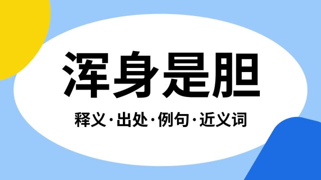 “浑身是胆”是什么意思?