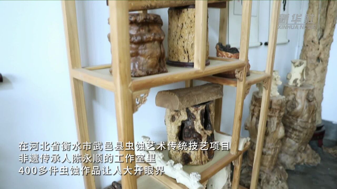 大美非遗|河北武邑:枯木病株中的“虫蚀艺术”