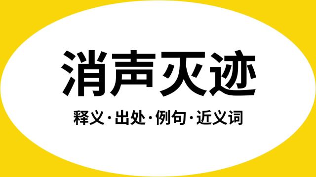 “消声灭迹”是什么意思?