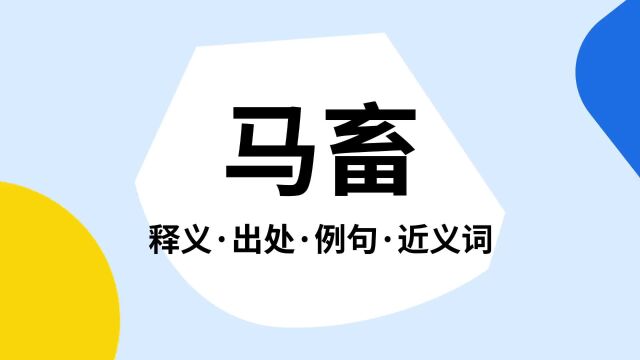 “马畜”是什么意思?