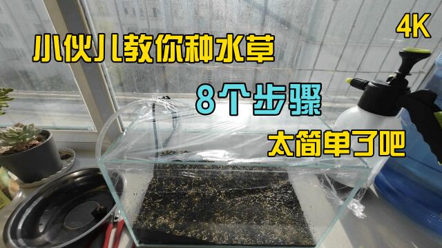 小伙儿教你鱼缸造景种植水草保姆级教学,看完直呼这也太简单了吧