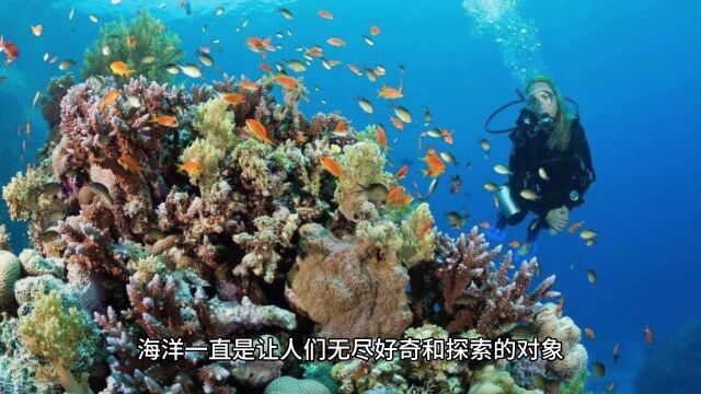 探索海洋的奥秘