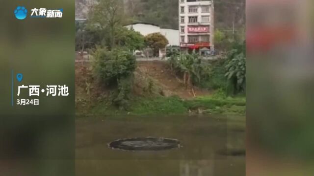 网传河池龙江河中出现“黑旋涡”生态环境局:排除污染可能