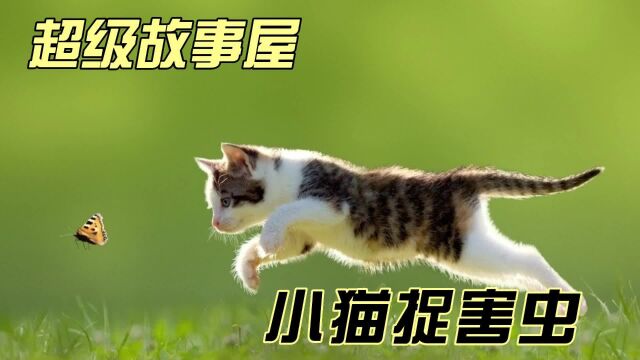 【超级故事屋】小猫捉害虫 聪明能干的小猫,终于清除了害虫