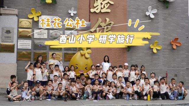 5月19日,秀峰区西山小学的同学们在桂花公社开展了研学之旅.