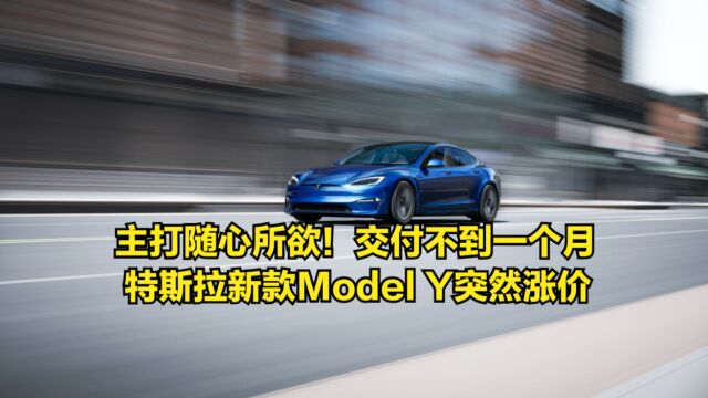 主打随心所欲!交付不到一个月,特斯拉新款ModelY突然涨价