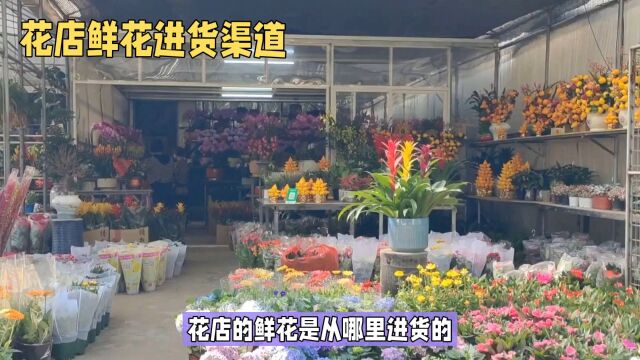 花店进货大揭秘,从哪里进货更划算