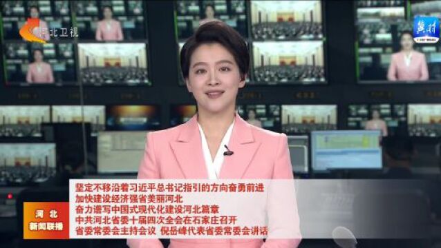 中共河北省委十届四次全会在石家庄召开 倪岳峰代表省委常委会讲话