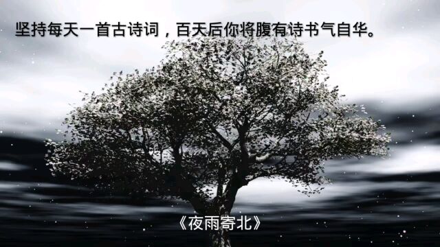 坚持每天一首古诗词《夜雨寄北》