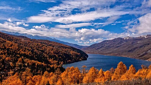 11月起,九寨沟、峨眉山等四川多个景区门票陆续降价!