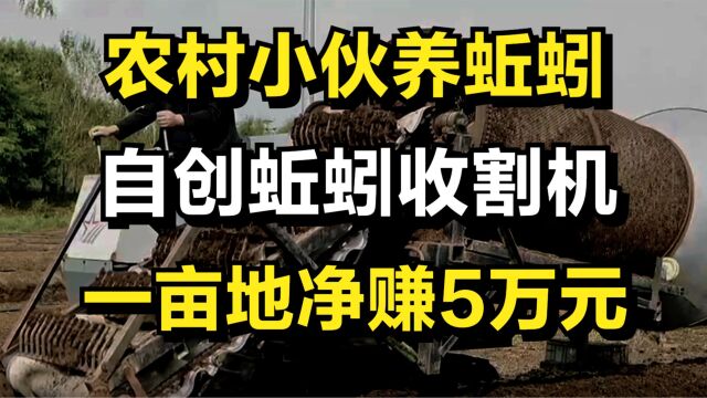 小伙创业养蚯蚓,自创蚯蚓收割机,一亩地净赚5万元,年入1500万