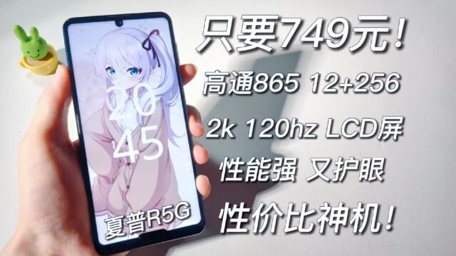 749元神机!骁龙865旗舰,12+256顶配,2k 120hz LCD屏,夏普R5G拆机测评~