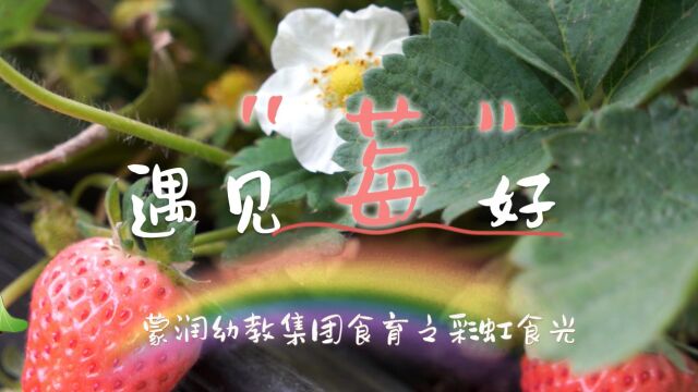 遇见“莓”好