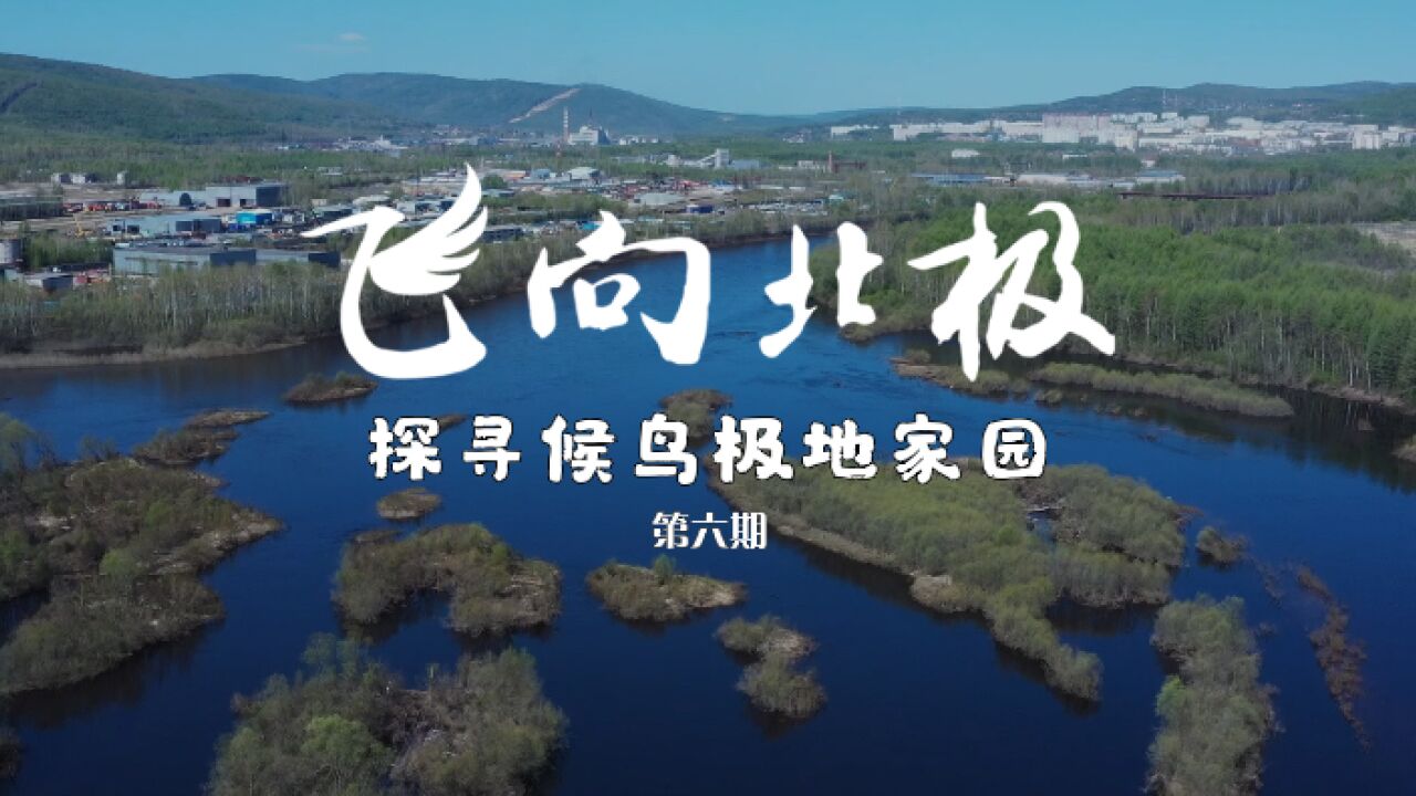 飞向北极|极地段VLOG第6期:俄罗斯腾达偶遇中国小伙卖水果,丛林探险绝美牛轭湖