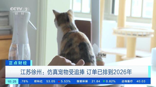 江苏徐州:仿真宠物受追捧 订单已排到2026年