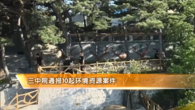 三中院通报10起环境资源案件刑事、民事、执行典型案例