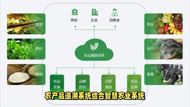 智慧农业追溯系统,助力农产品质量提升!