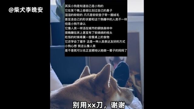 杀我别用xx刀,河北朵拉,良友冰室都是什么意思梗? 万物之源