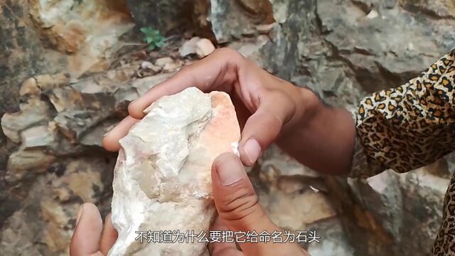 世界上最软的石头:手指一捏就会碎,网友:基因突变?